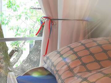 Кровать в общем номере с 4 кроватями в  Tapir Hostel